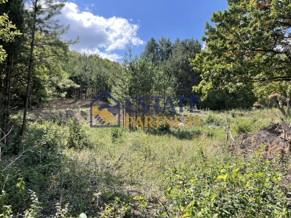 Парцел в с. Белащица, Област Пловдив - 720 кв.м за 100 €/кв.м - Снимка #1