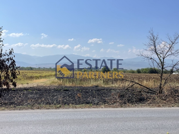 Парцел в с. Оризари, Област Пловдив - 4082 кв.м за 16 €/кв.м - Снимка #1