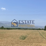 Парцел в Пловдив, Индустриална зона - Юг - 15750 кв.м за 8 €/кв.м - Снимка #1