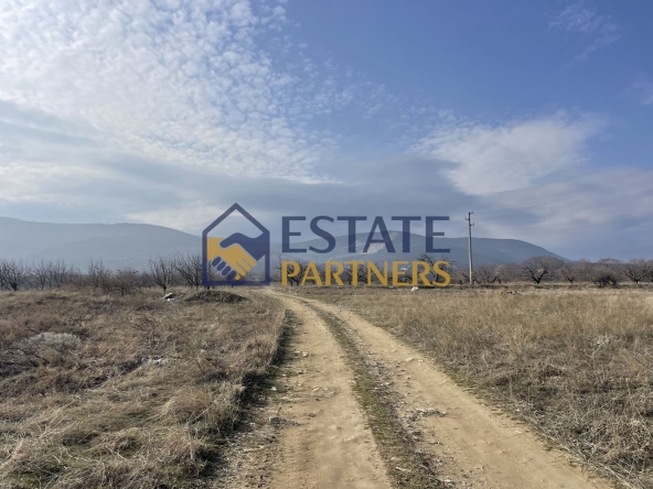 Парцел в с. Брестник, Област Пловдив - 2250 кв.м за 26 €/кв.м - Снимка #1