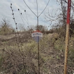 Парцел в с. Кранево, Област Добрич - 486 кв.м за 60 €/кв.м - Снимка #1