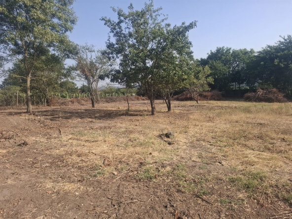 Парцел в с. Здравец, Област Варна - 1238 кв.м за 21 €/кв.м - Снимка #1