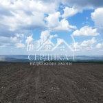 Парцел в с. Храбърско, Област София-област - 2528 кв.м за 70 €/кв.м - Снимка #1