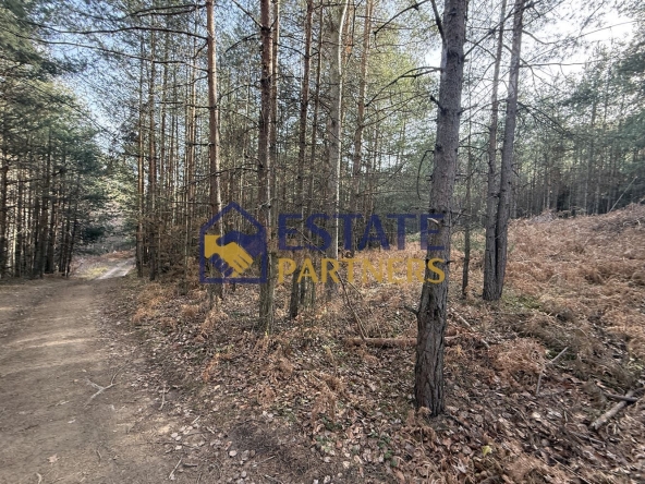 Парцел в с. Бойково, Област Пловдив - 2018 кв.м за 12 €/кв.м - Снимка #1