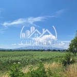 Парцел в с. Долни Богров, Област София-град - 2990 кв.м за 91 €/кв.м - Снимка #1