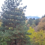 Къща в София, Западен парк - 170 кв.м за 318 €/кв.м - Снимка #1