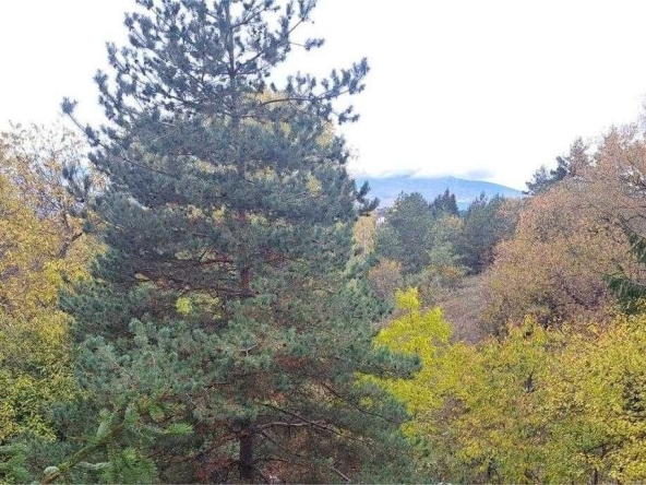 Къща в София, Западен парк - 170 кв.м за 318 €/кв.м - Снимка #1