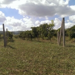 Земеделски имот в с. Панаретовци, Област Сливен -  кв.м за 1658 €/дка - Снимка #1