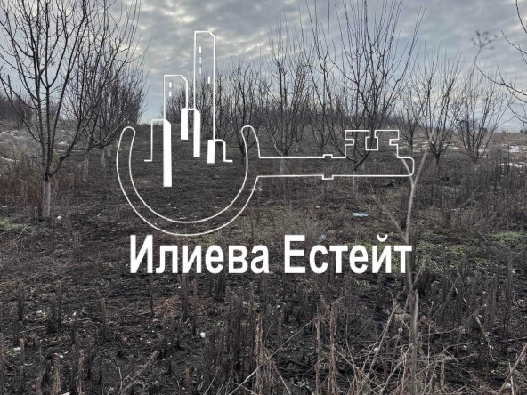 Парцел в Димитровград - 2312 кв.м за 7 €/кв.м - Снимка #1