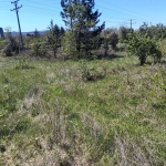 Парцел в Разград, Промишлена зона - Запад - 1700 кв.м за 12 €/кв.м - Снимка #1