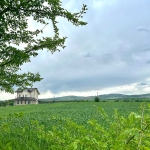 Парцел в с. Житен, Област София-град - 6000 кв.м за 48 €/кв.м - Снимка #1