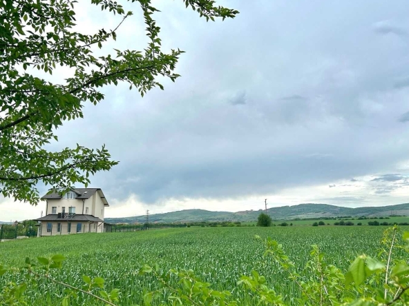 Парцел в с. Житен, Област София-град - 6000 кв.м за 48 €/кв.м - Снимка #1