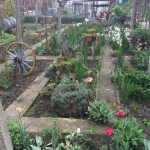 Къща в с. Ореховица, Област Плевен - 120 кв.м за 242 €/кв.м - Снимка #1