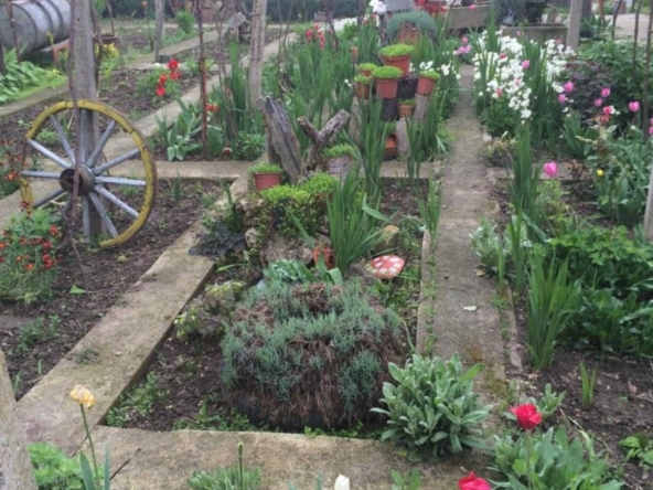 Къща в с. Ореховица, Област Плевен - 120 кв.м за 242 €/кв.м - Снимка #1