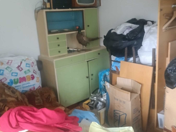 Къща в с. Просторно, Област Разград - 85 кв.м за 450 €/кв.м - Снимка #1