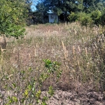 Парцел в Разград, Промишлена зона - Запад - 993 кв.м за 26 €/кв.м - Снимка #1