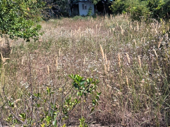 Парцел в Разград, Промишлена зона - Запад - 993 кв.м за 26 €/кв.м - Снимка #1