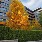 Двустаен апартамент в София, Витоша - 59 кв.м за 2877 €/кв.м - Снимка #1