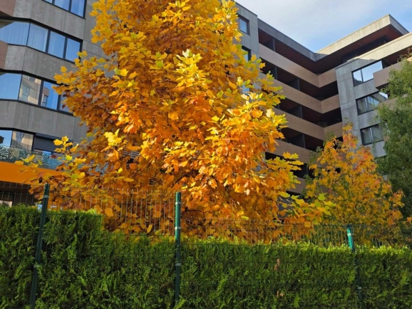 Двустаен апартамент в София, Витоша - 59 кв.м за 2877 €/кв.м - Снимка #1