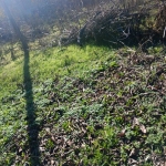 Парцел в Разград, Промишлена зона - Запад - 1325 кв.м за 7 €/кв.м - Снимка #1