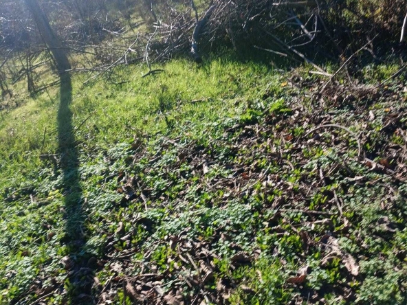 Парцел в Разград, Промишлена зона - Запад - 1325 кв.м за 7 €/кв.м - Снимка #1