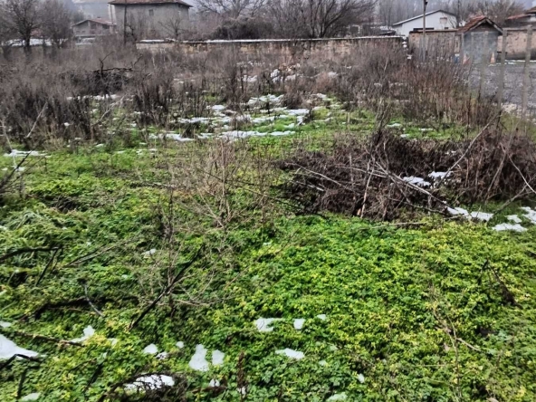 Парцел в с. Гецово, Област Разград - 1067 кв.м за 24 €/кв.м - Снимка #1