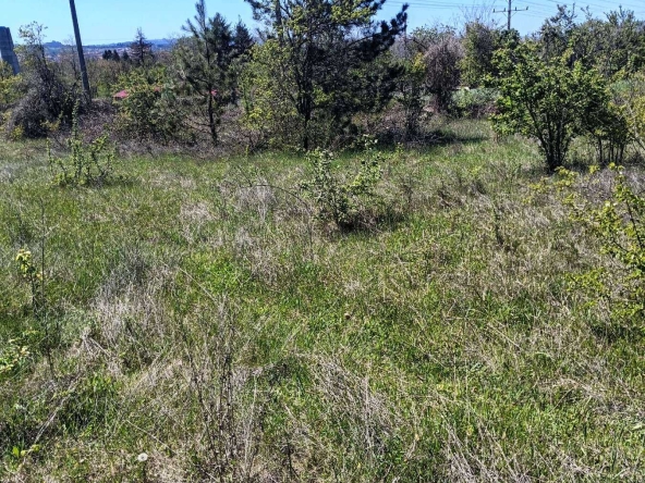 Парцел в Разград, Промишлена зона - Запад - 1700 кв.м за 12 €/кв.м - Снимка #1