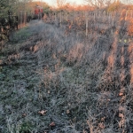 Парцел в Разград, Промишлена зона - Запад - 2918 кв.м за 12 €/кв.м - Снимка #1