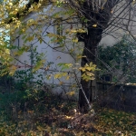 Къща в с. Буковец, Област Враца - 67 кв.м за 114 €/кв.м - Снимка #1