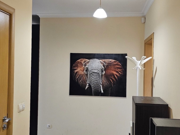 Тристаен апартамент в София, Витоша - 101 кв.м за 9 €/кв.м - Снимка #1