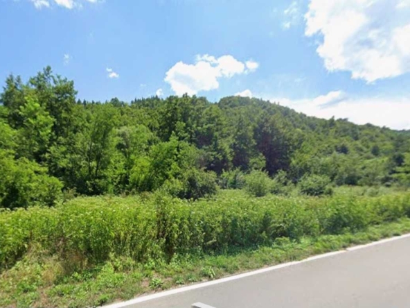 Парцел в с. Белица, Област Габрово - 1958 кв.м за 4 €/кв.м - Снимка #1