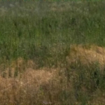 Парцел в Пловдив, Беломорски - 900 кв.м за 10 €/кв.м - Снимка #1