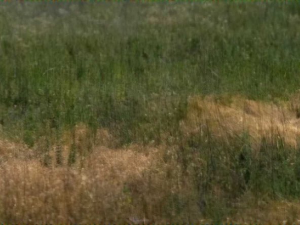 Парцел в Пловдив, Беломорски - 900 кв.м за 10 €/кв.м - Снимка #1