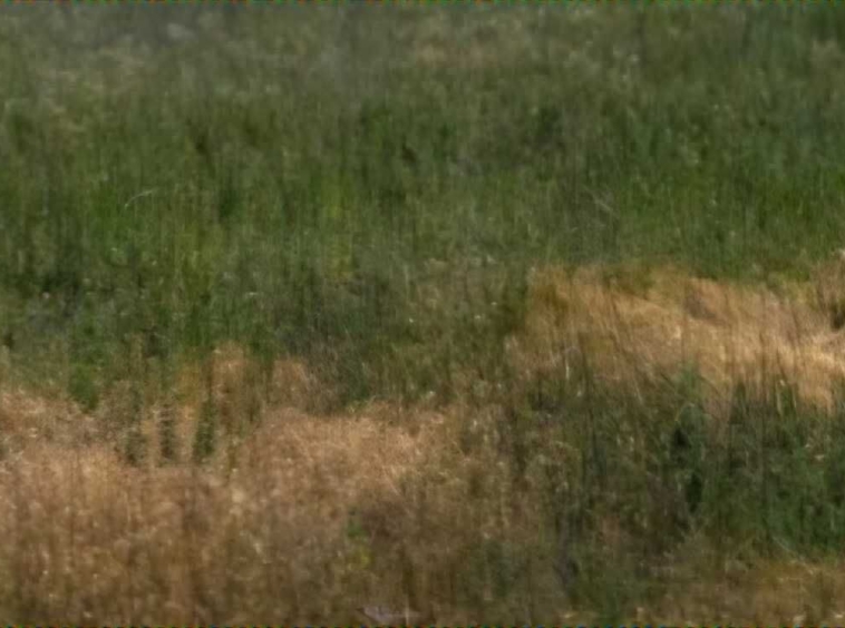 Парцел в Пловдив, Беломорски - 900 кв.м за 10 €/кв.м - Снимка #1