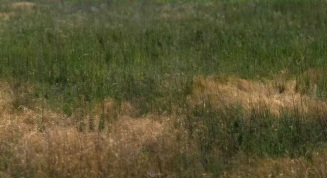 Парцел в Пловдив, Беломорски - 900 кв.м за 10 €/кв.м - Снимка #1