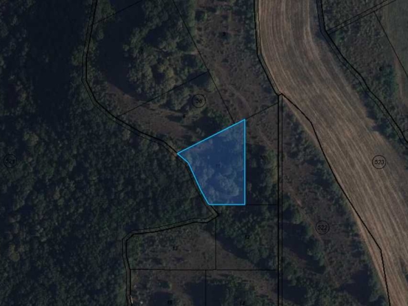 Парцел в с. Кичево, Област Варна - 3000 кв.м за 8 €/кв.м - Снимка #1