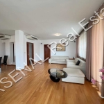 Дава се под наем Двустаен апартамент в София, Гео Милев - 160 кв.м за 800 € - Снимка #1