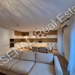 Дава се под наем Тристаен апартамент в София, Манастирски ливади - 150 кв.м за 1200 € - Снимка #1