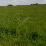 Парцел в с. Първенец, Област Пловдив - 541 кв.м за 40 €/кв.м - Снимка #1