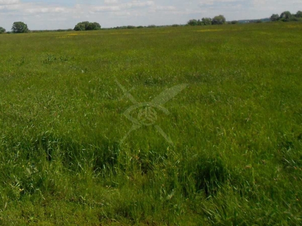 Парцел в с. Първенец, Област Пловдив - 541 кв.м за 79 €/кв.м - Снимка #1