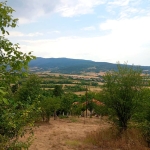 Парцел в Кюстендил, Колуша - 1433 кв.м за 30 €/кв.м - Снимка #1