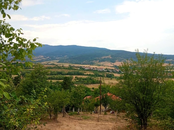 Парцел в Кюстендил, Колуша - 1433 кв.м за 30 €/кв.м - Снимка #1