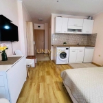 Едностаен апартамент в к.к. Слънчев бряг - 33 кв.м за 1531 €/кв.м - Снимка #1