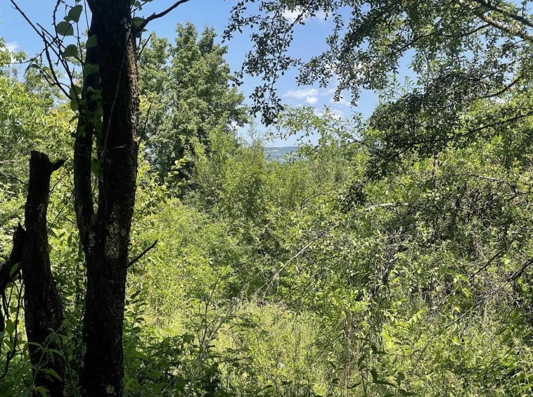 Парцел в Габрово, Център - 900 кв.м за 17 €/кв.м - Снимка #1