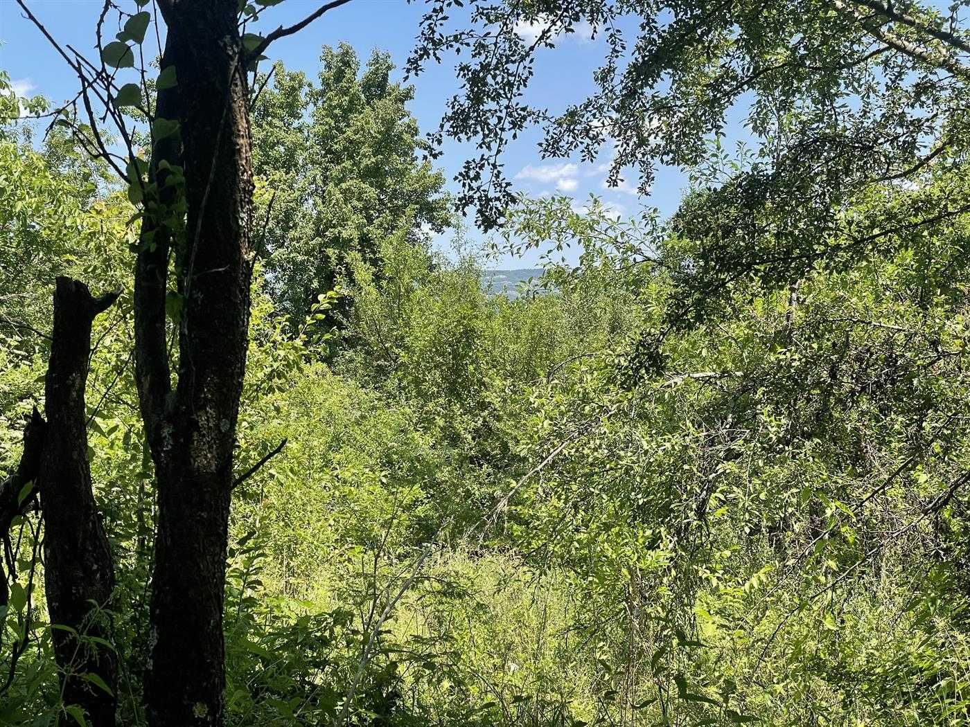 Парцел в Габрово, Център - 900 кв.м за 17 €/кв.м - Снимка #1