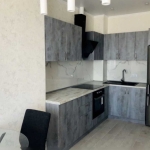 Дава се под наем Двустаен апартамент в Пловдив, Каменица 1 - 50 кв.м за 273.87 € - Снимка #1