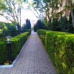 Едностаен апартамент в к.к. Слънчев бряг - 33 кв.м за 1513 €/кв.м - Снимка #1