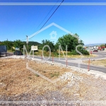 Дава се под наем Парцел в с. Шереметя, Област Велико Търново - 1500 кв.м за 600 € - Снимка #1