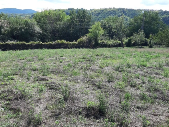 Парцел в Килифарево - 780 кв.м за 22 €/кв.м - Снимка #1