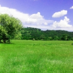 Парцел в София, Зона Б-18 - 550 кв.м за 23 €/кв.м - Снимка #1